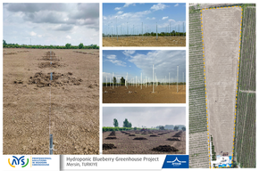 We have started the construction of our 36-acre blueberry greenhouse project in Mersin.