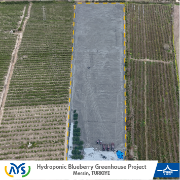 We have started the construction of our 36-acre blueberry greenhouse project in Mersin.