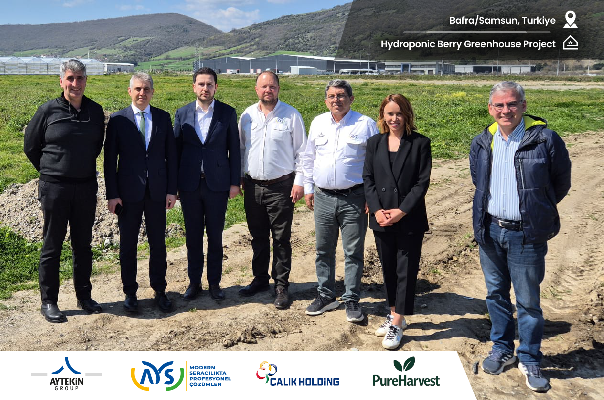 Collaboration agreement between AYS Proje and Pure Harvest, part of Calik Holding