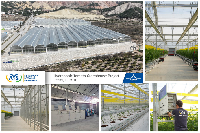 Reysaş Holding için Denizli’de jeotermal ısıtmalı, yüksek teknolojili topraksız domates sera projemizi başarıyla tamamladık